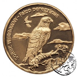 III RP, 2 złote, 2008, Sokół Wędrowny
