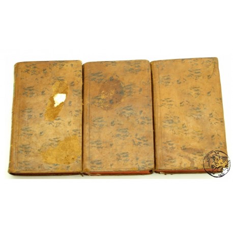 Merkwaardige kasteelen in Nederland, 1855