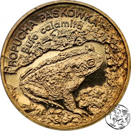 III RP, 2 złote, 1998, Ropucha Paskówka