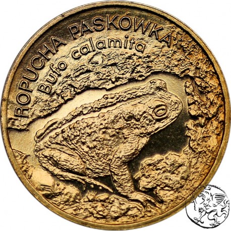 III RP, 2 złote, 1998, Ropucha Paskówka