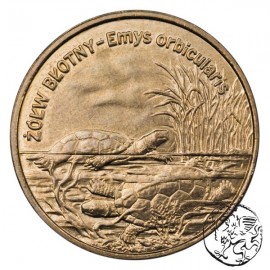III RP, 2 złote, 2002, Żółw Błotny